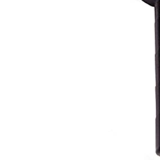 g3